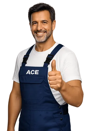 main expert